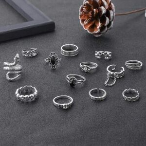Gothic Snake And Feather 13pc Charm Ring Set. New!